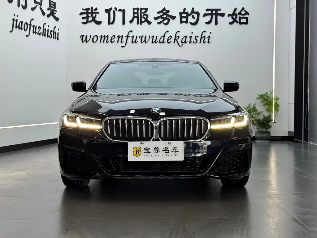 BMW 5 Series 2022