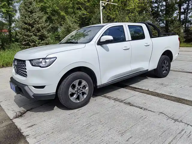 GREAT WALL CANNON 2023