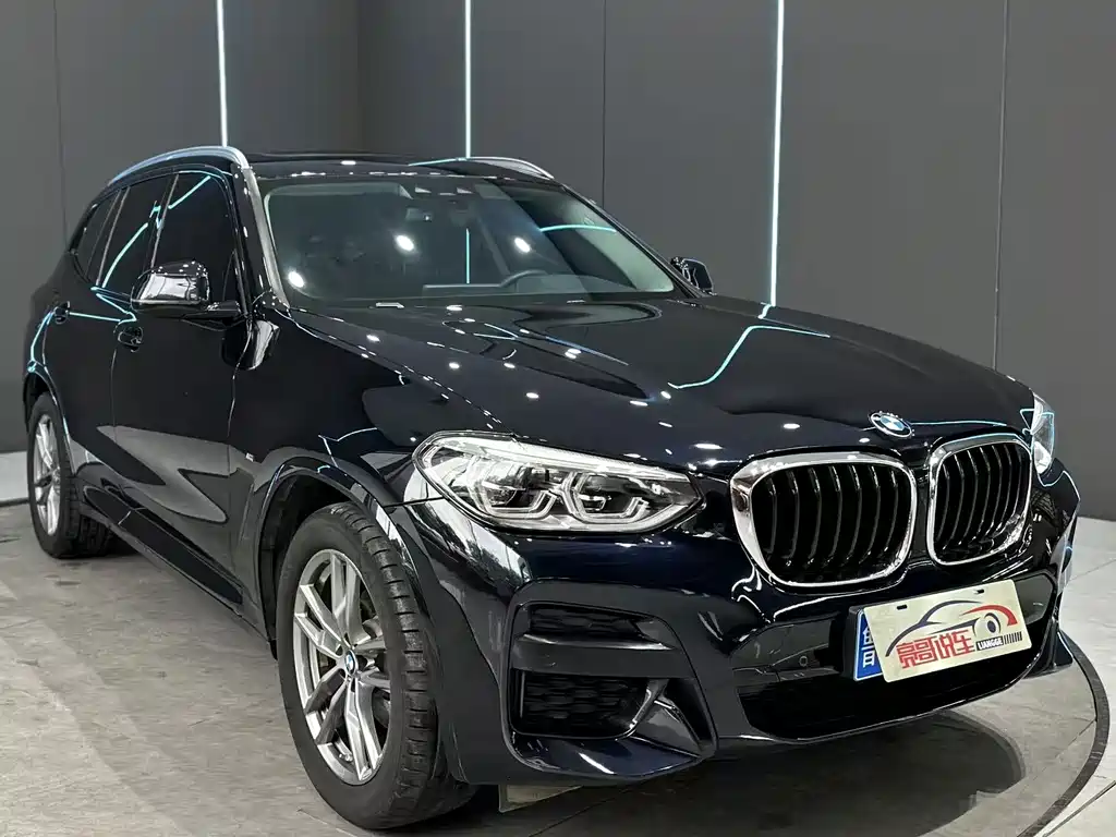 BMW X3 — миниатюра 3