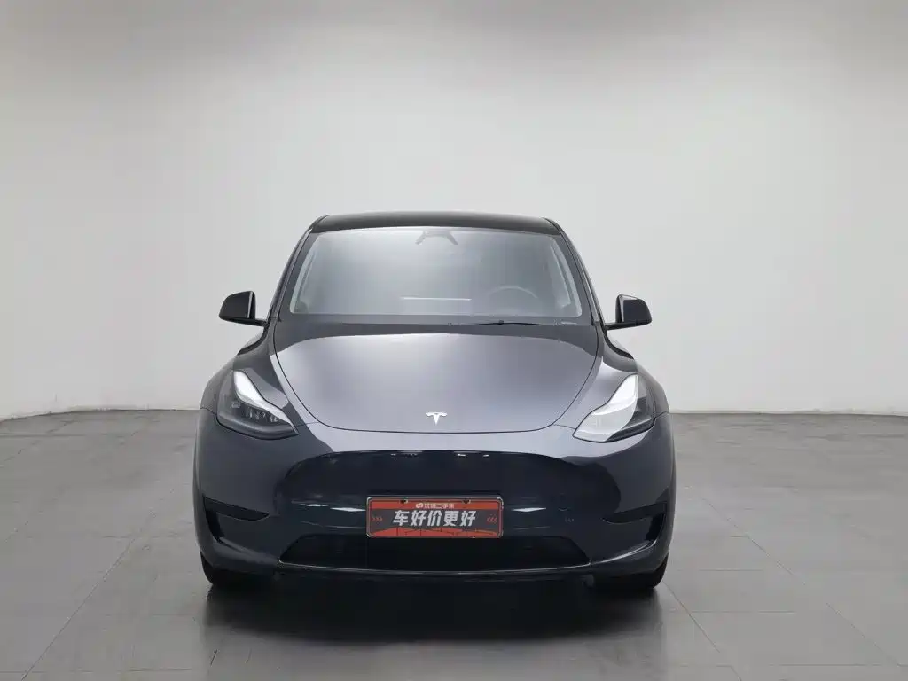 Tesla Model Y — миниатюра 3