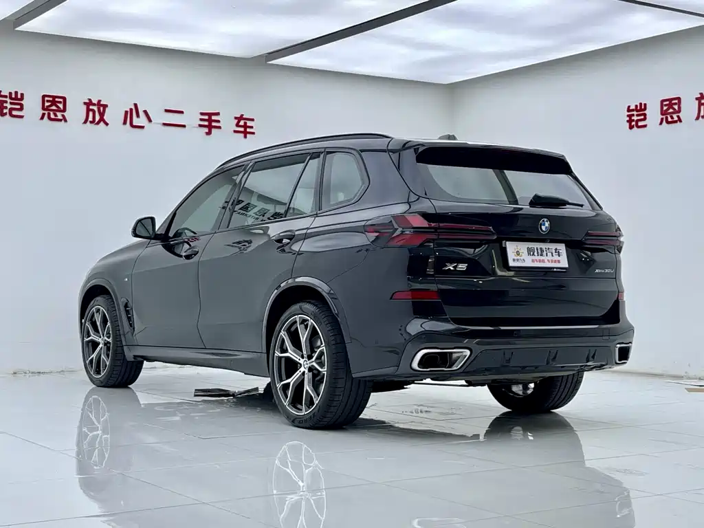 BMW X5 — миниатюра 19