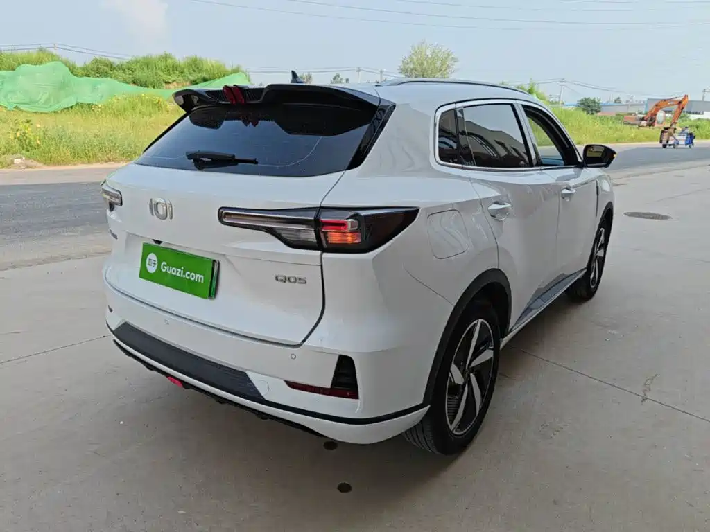 Qiyuan Чанг Ан Кай Q05 классика. — миниатюра 5