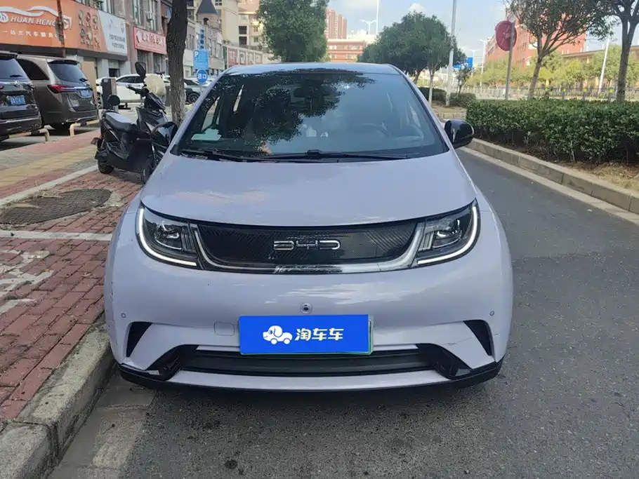 BYD Dolphin — миниатюра 2