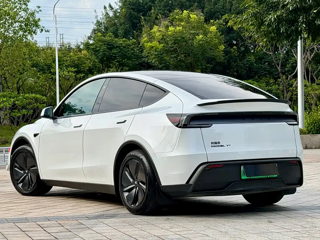 Tesla Model Y — миниатюра 16