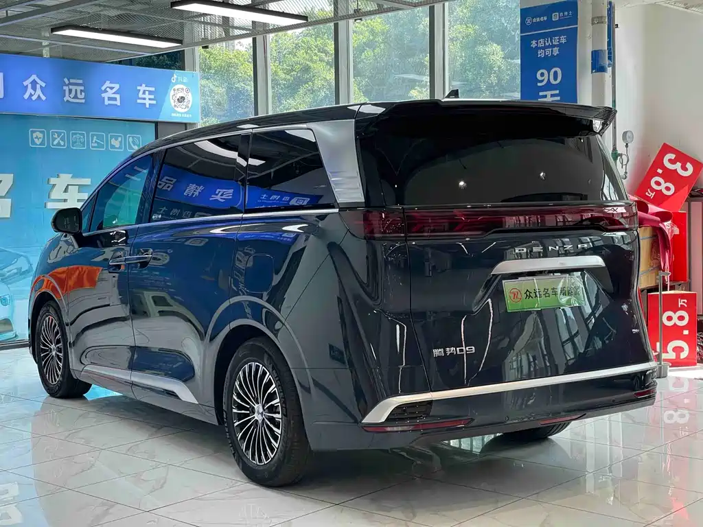 Denza Denza D9 — миниатюра 18