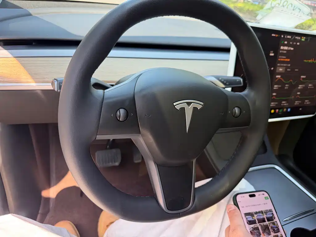 Tesla Model Y — миниатюра 12