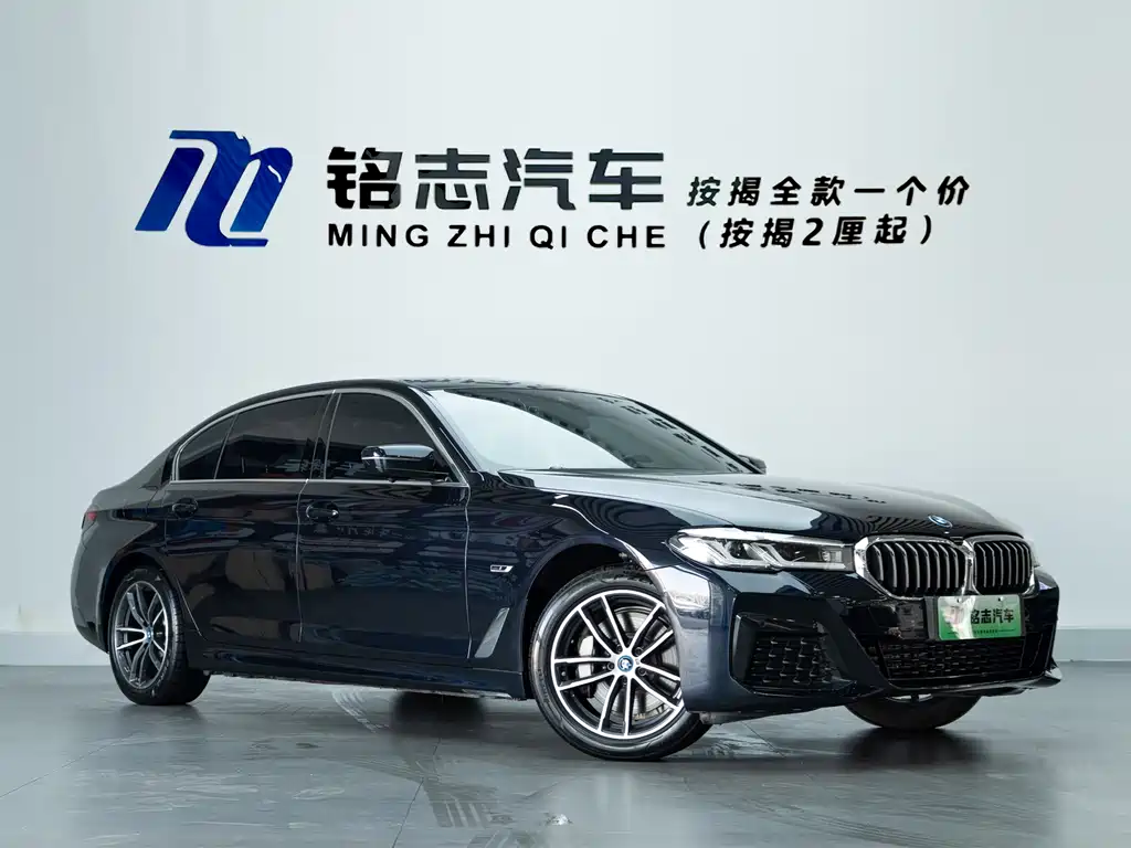 BMW 5 Series New Energy — миниатюра 4