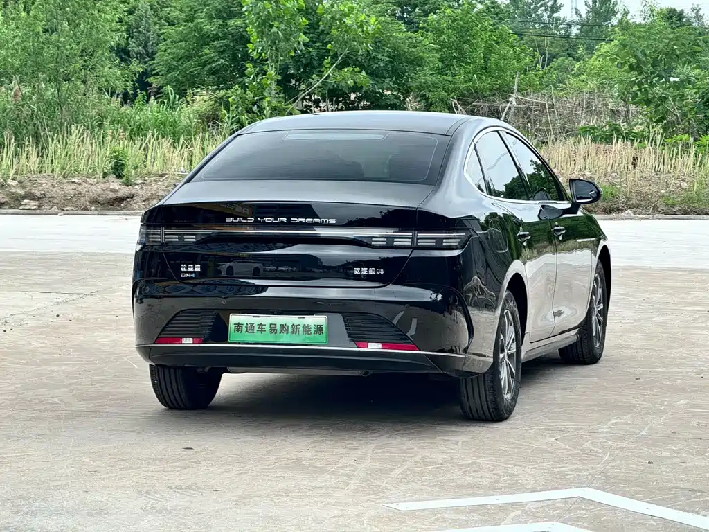 BYD Destroyer 05 2023 Champion DM-i 55KM Luxury