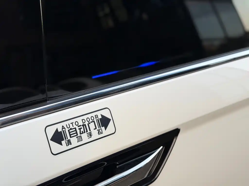 Honda Elysion — миниатюра 15