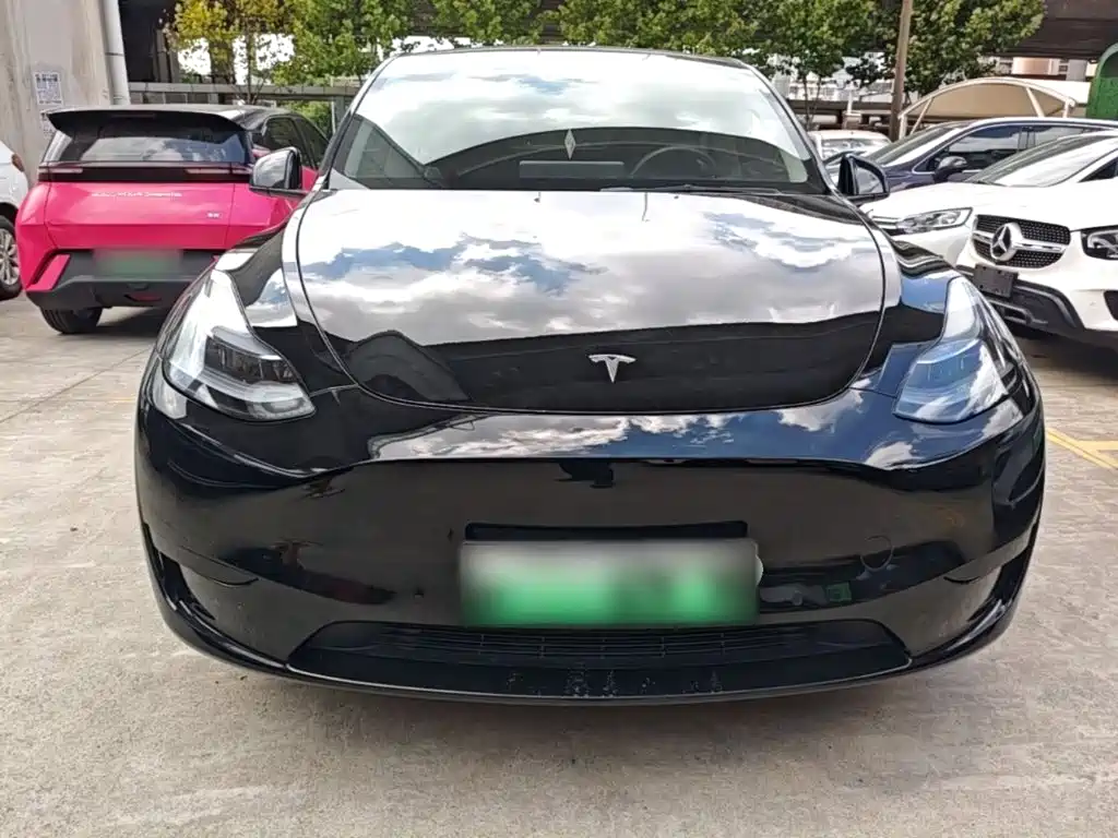 Tesla Model Y — миниатюра 3