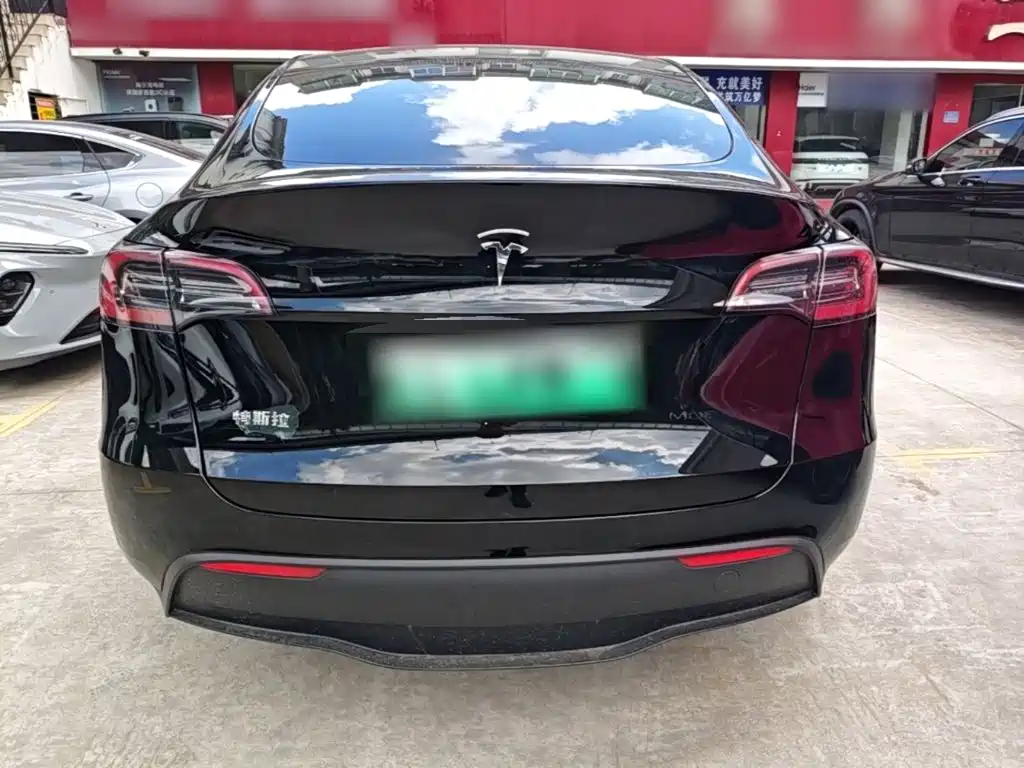 Tesla Model Y — миниатюра 6