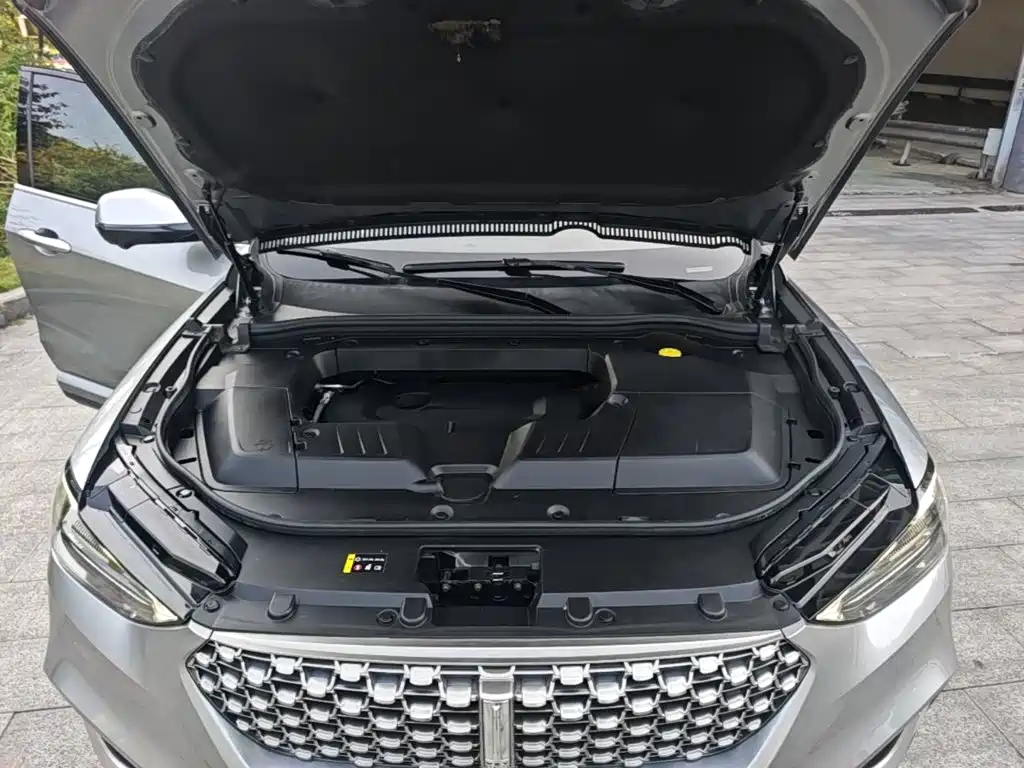 Wey Wey VV6 — миниатюра 20