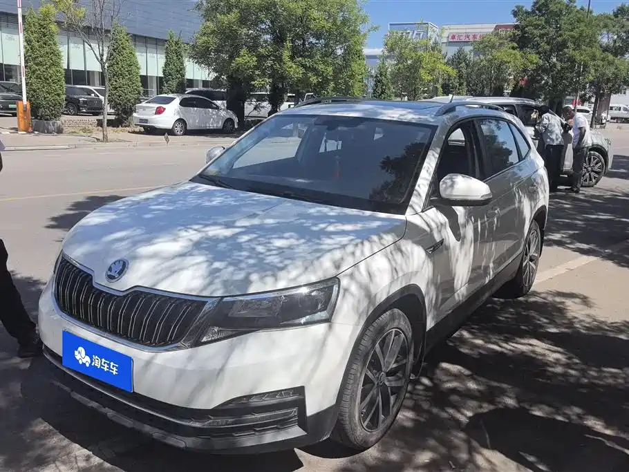 Купить Skoda Kamiq