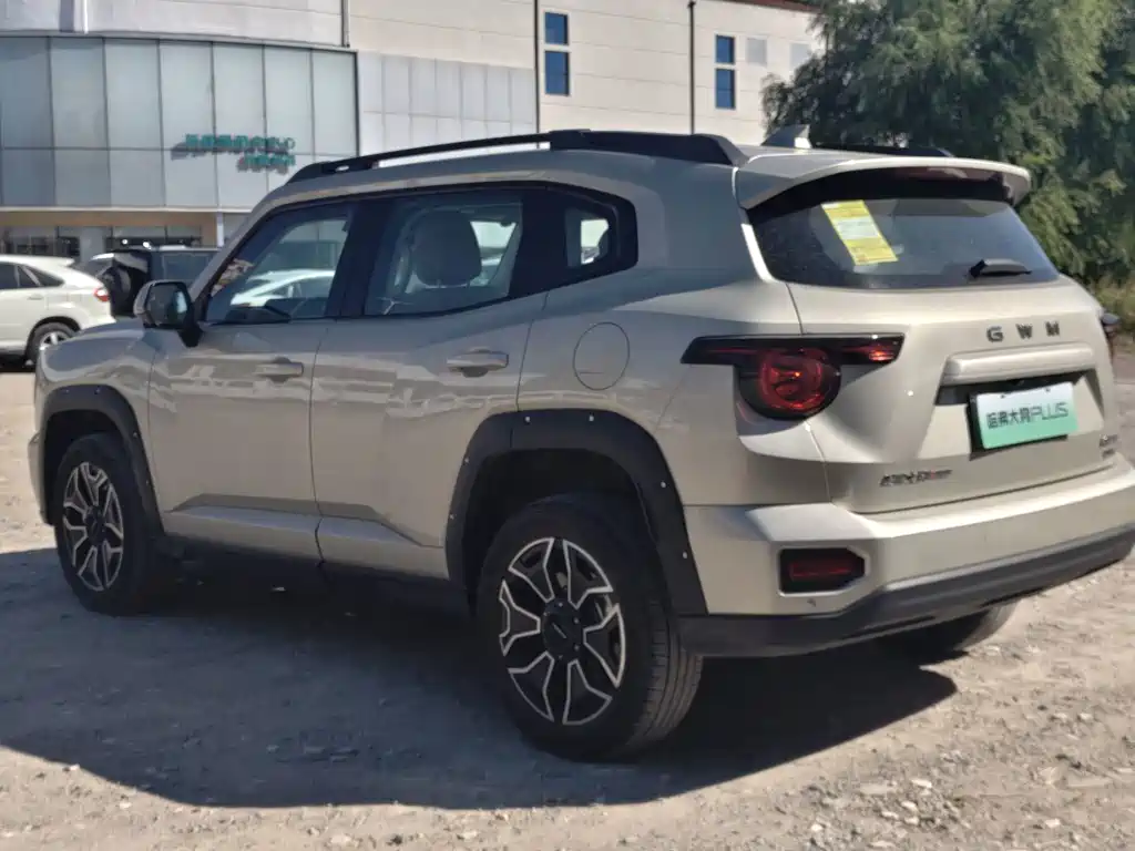 Haval Big Dog PLUS New Energy — миниатюра 8