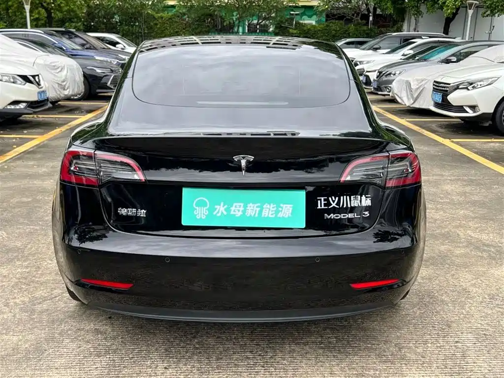 Tesla Model 3 — миниатюра 7