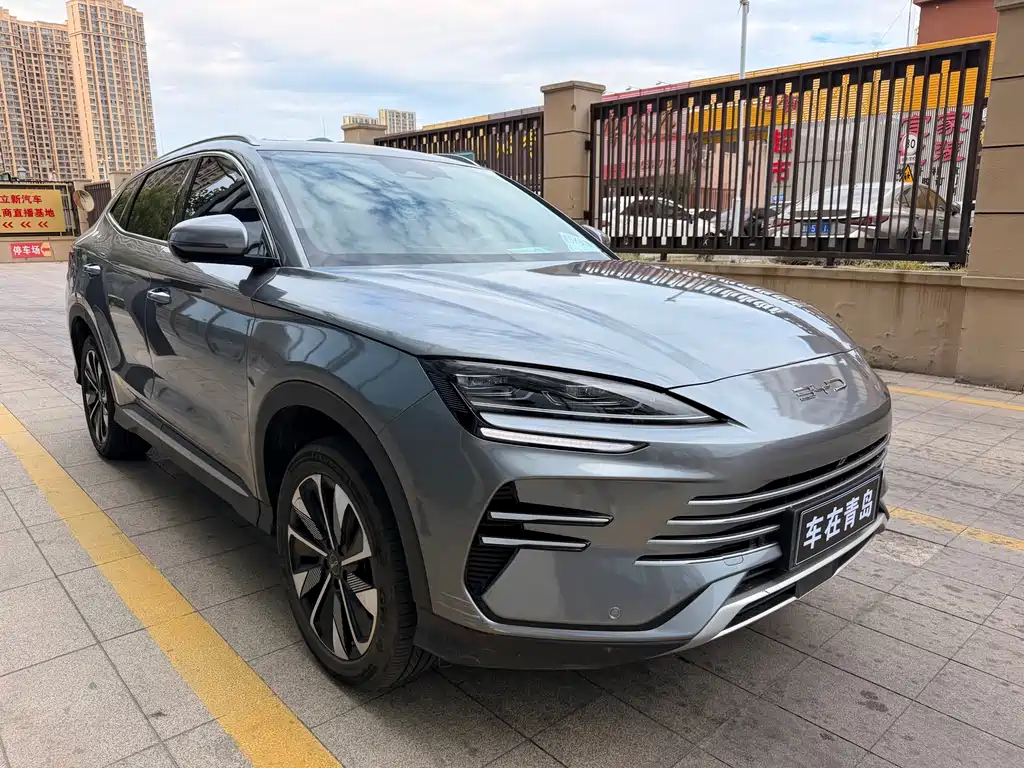 BYD PLUS New Energy — миниатюра 3