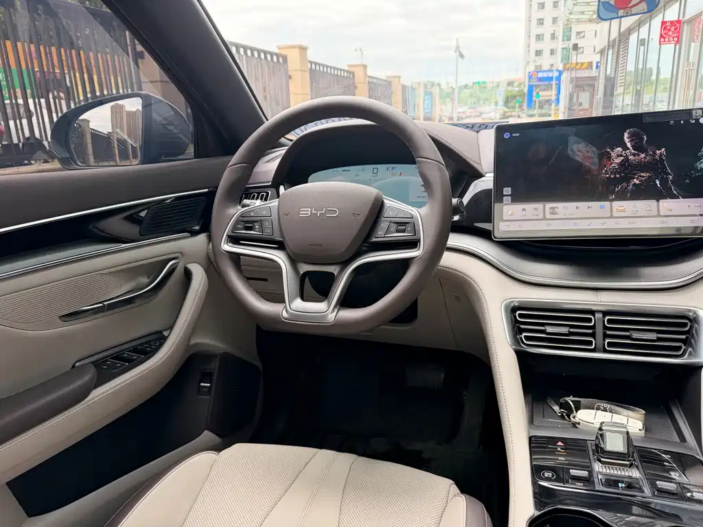 BYD PLUS New Energy — миниатюра 8