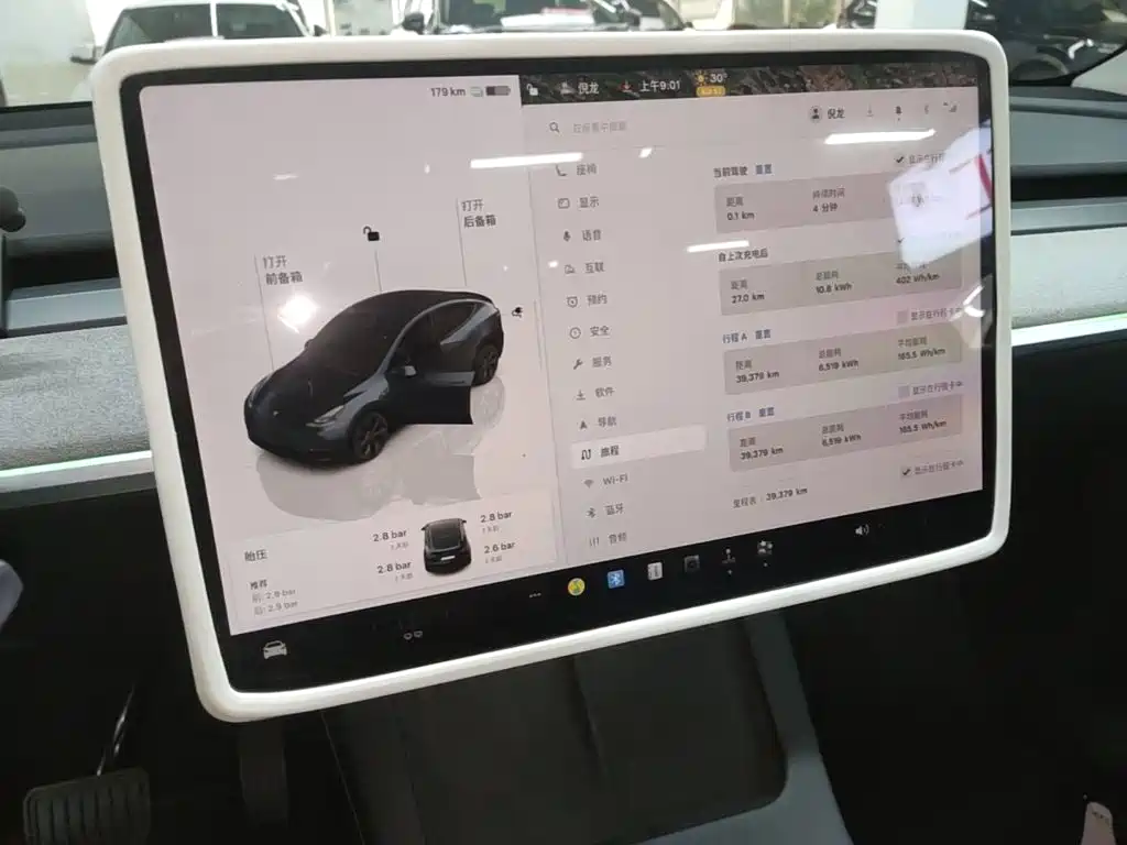 Tesla Model Y — миниатюра 13