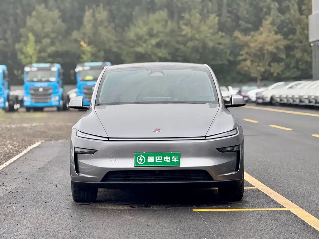 Tesla Model Y — миниатюра 2