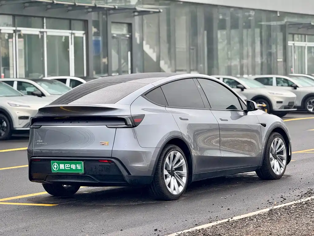 Tesla Model Y — миниатюра 4