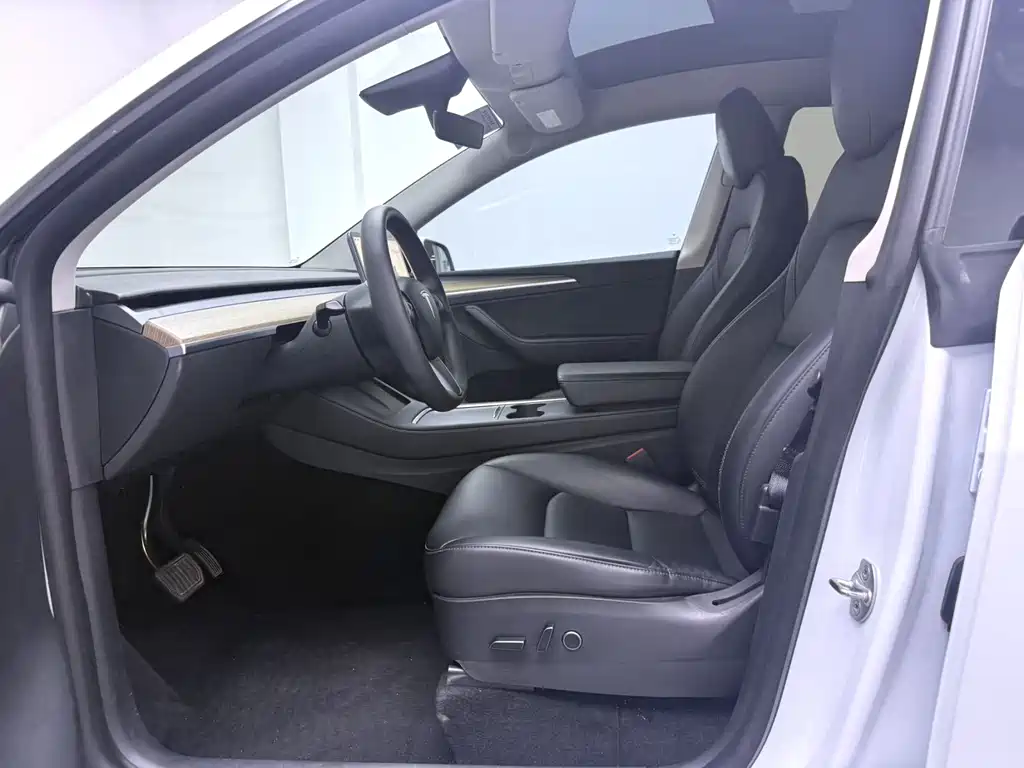 Tesla Model Y — миниатюра 5