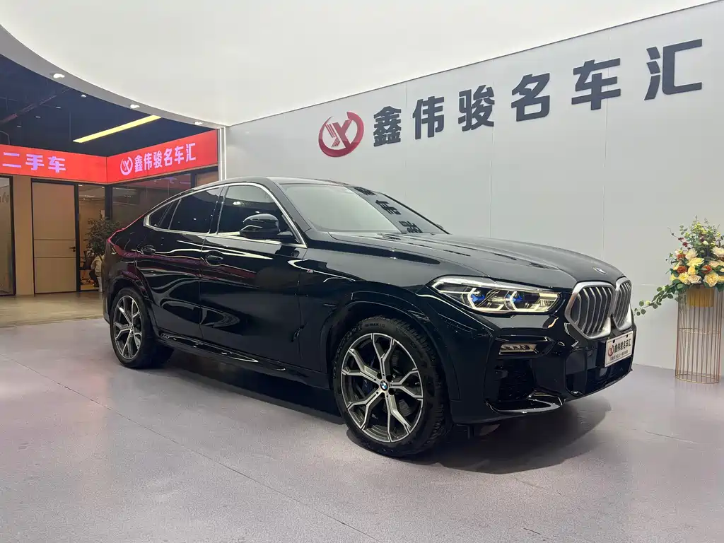BMW X6