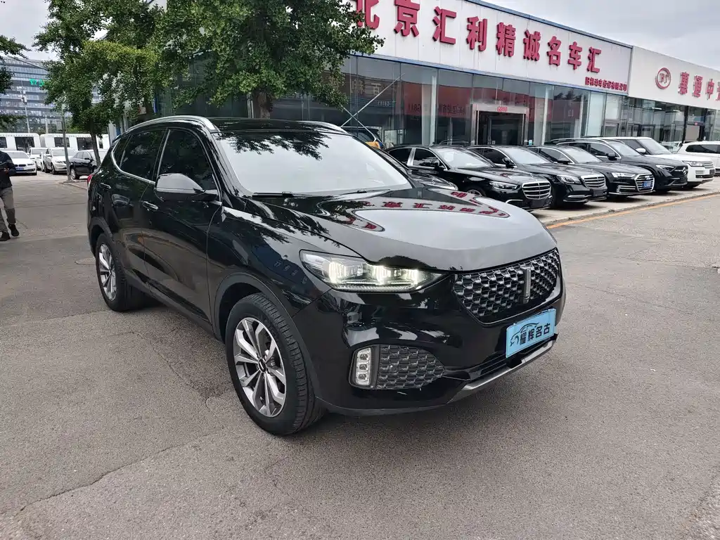 Wey Wey VV6