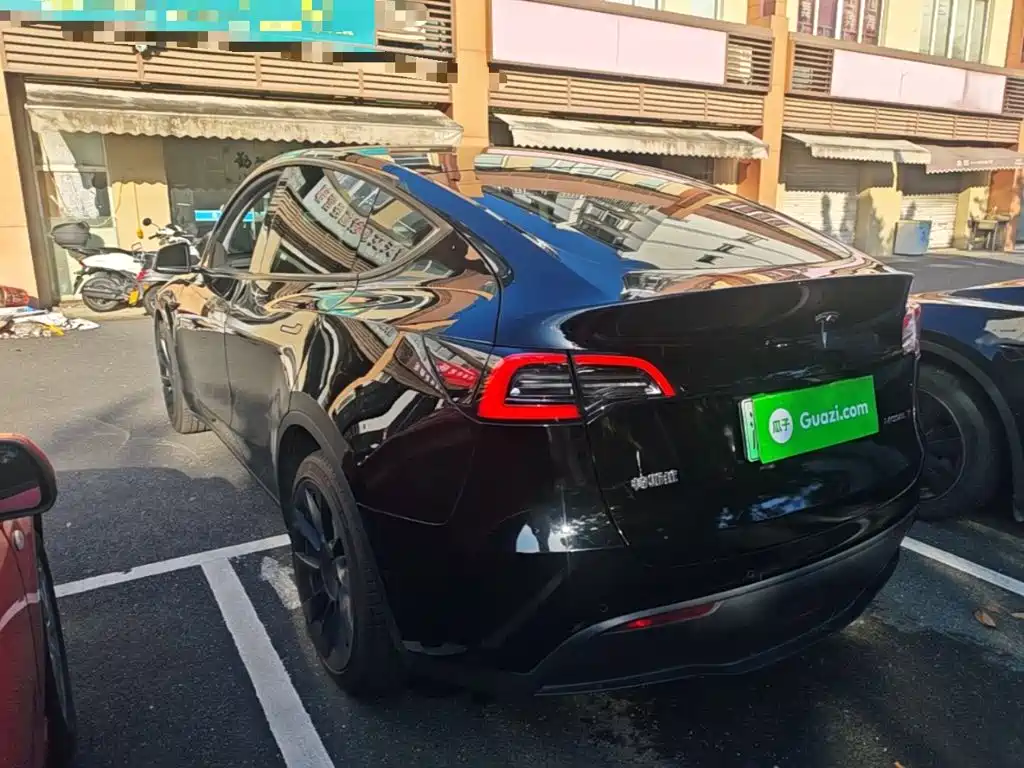 Tesla Model Y — миниатюра 5