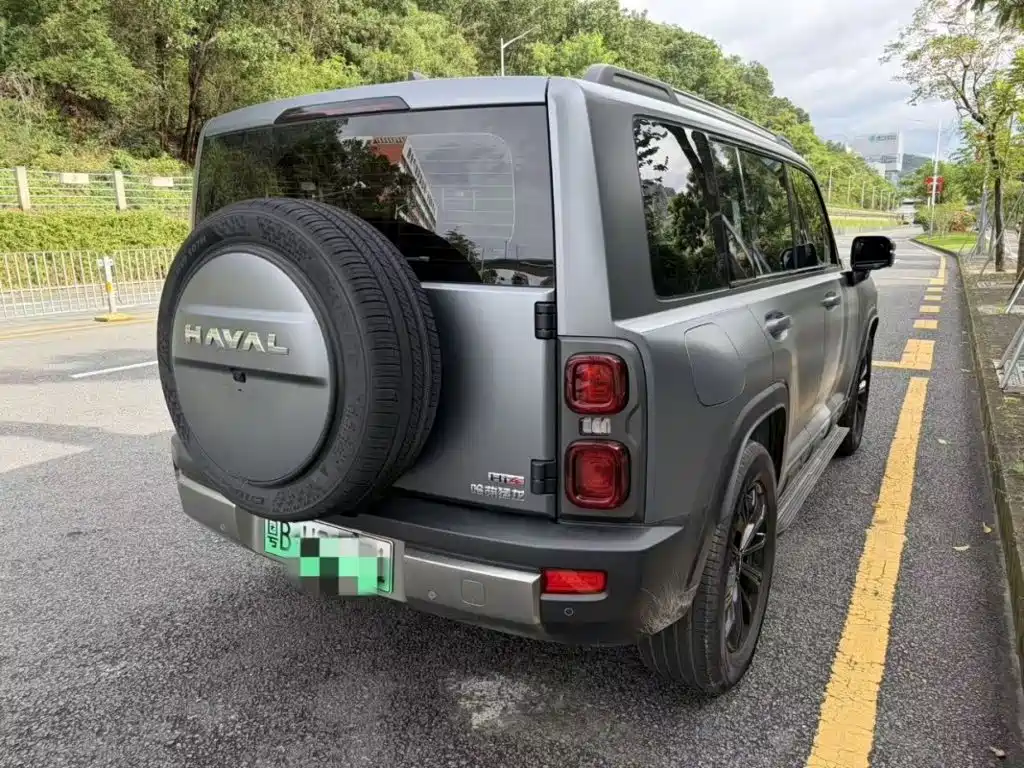Haval Menglong New Energy — миниатюра 7