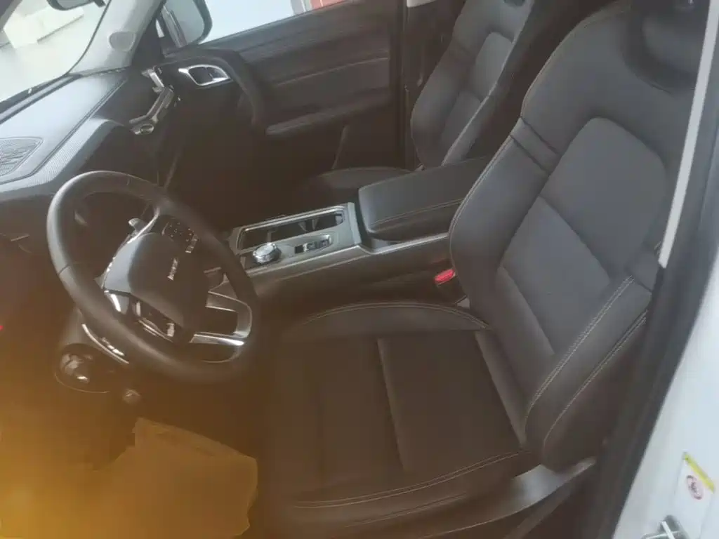 Haval Big Dog — миниатюра 15