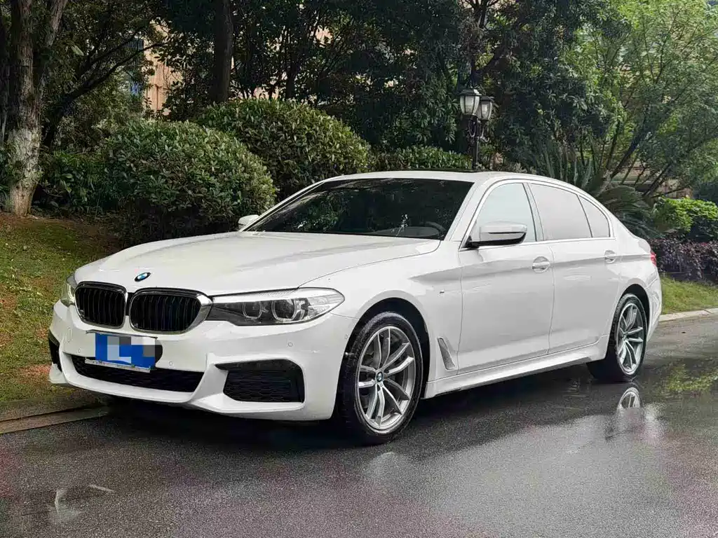 BMW 5 Series 2019