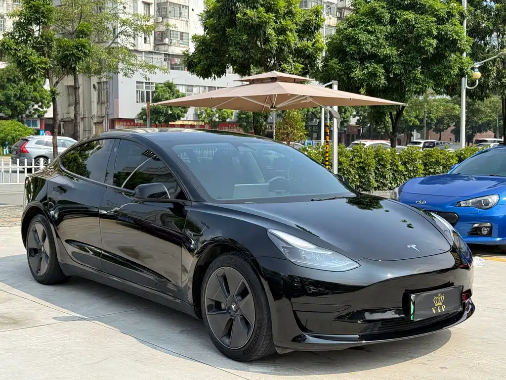 Tesla Model 3 — миниатюра 3