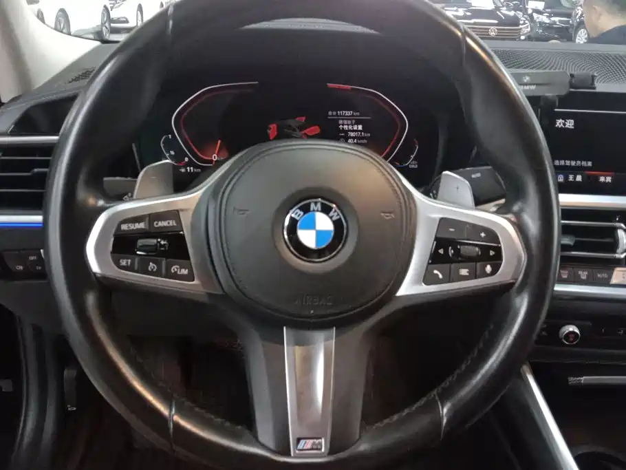 BMW 3 Series — миниатюра 15