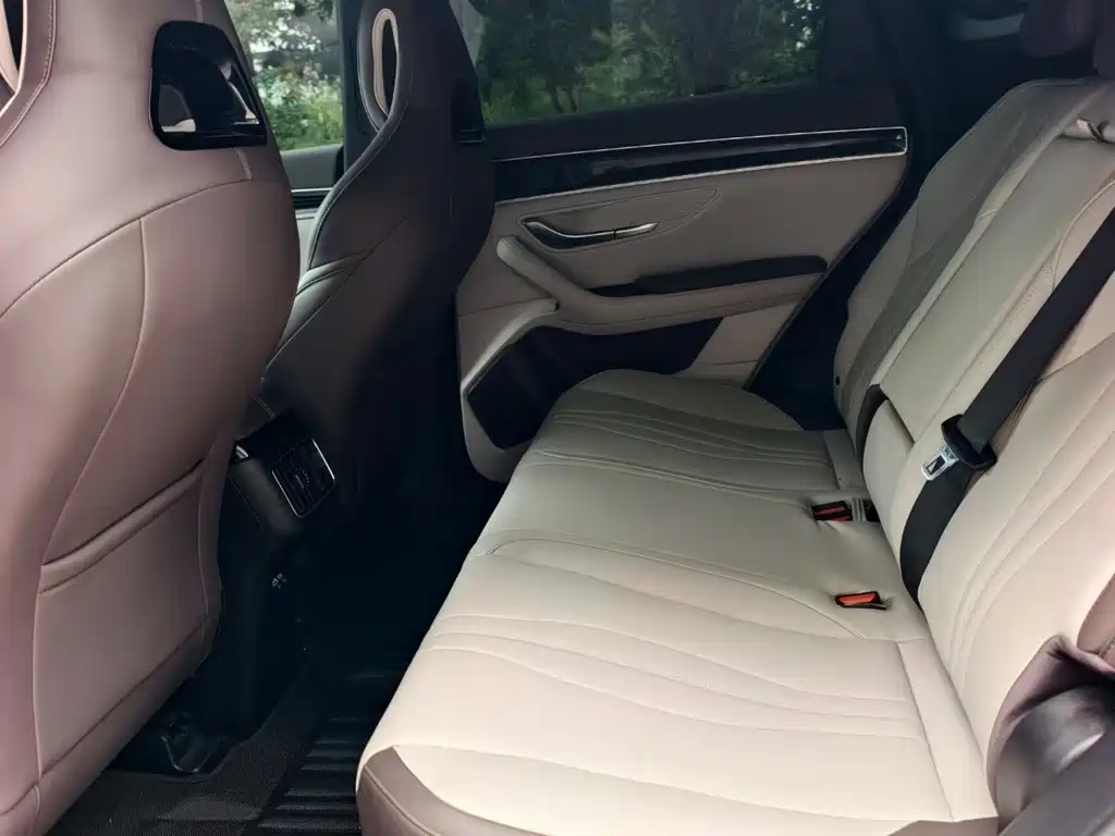 BYD PLUS New Energy — миниатюра 7