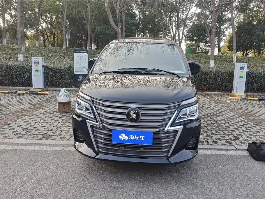 DONGFENG LINGZHI