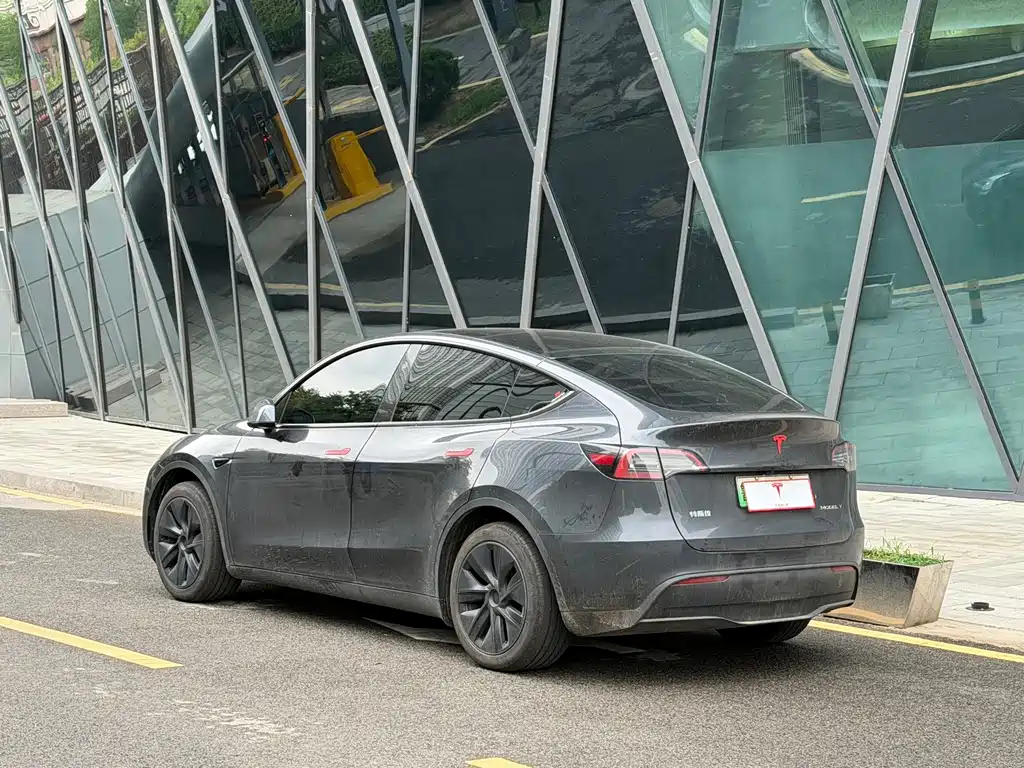 Tesla Model Y — миниатюра 4