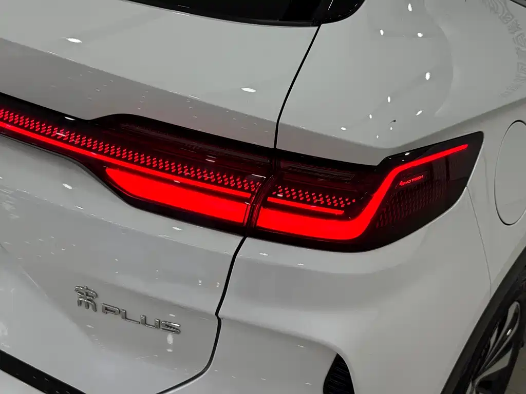 BYD PLUS New Energy — миниатюра 6