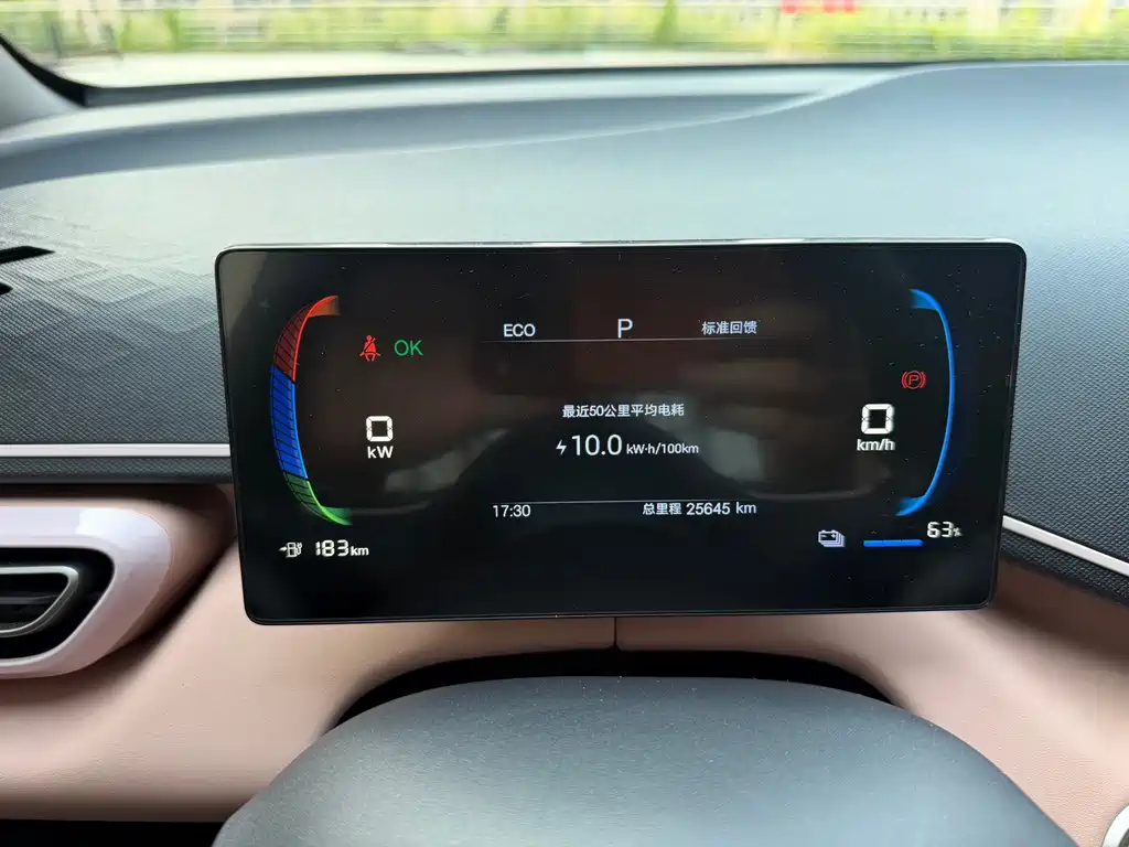 BYD Seagull — миниатюра 9