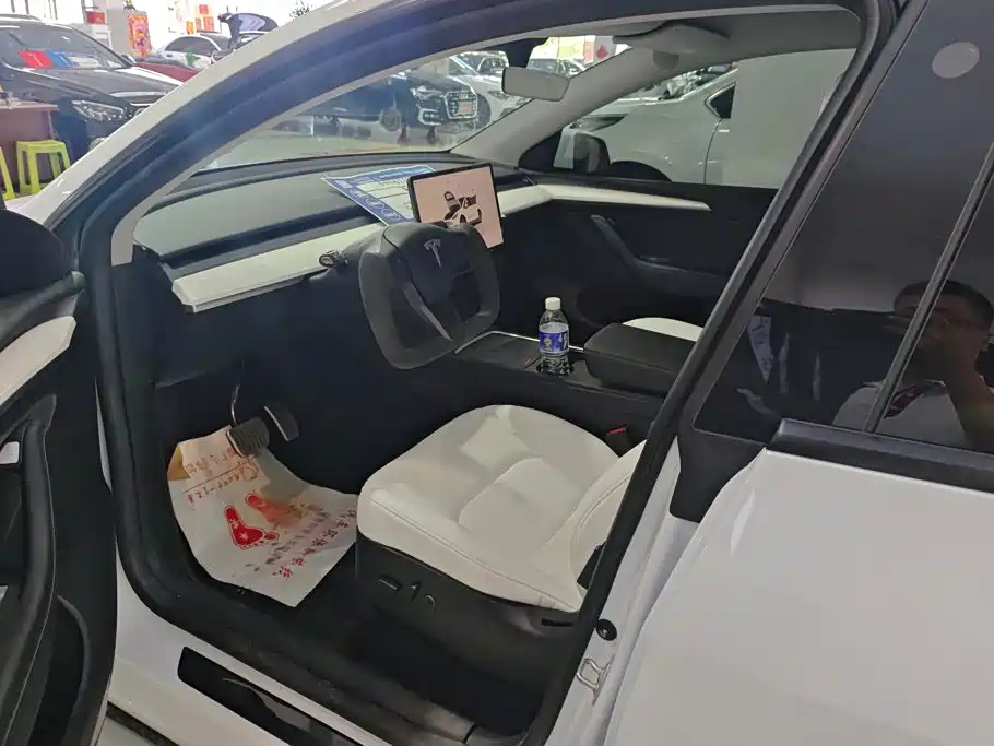 Tesla Model Y — миниатюра 9