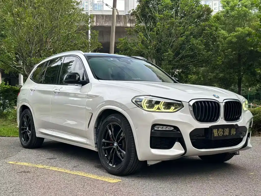 BMW X3 — миниатюра 3