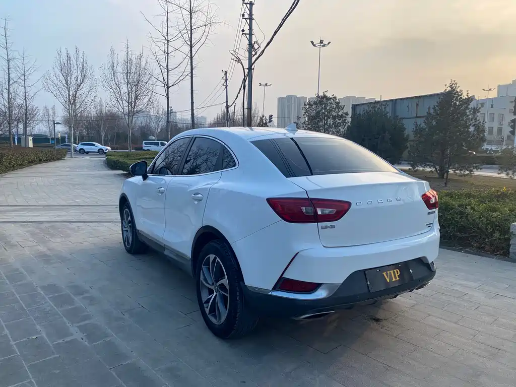 BORGWARD BAOWO BX6