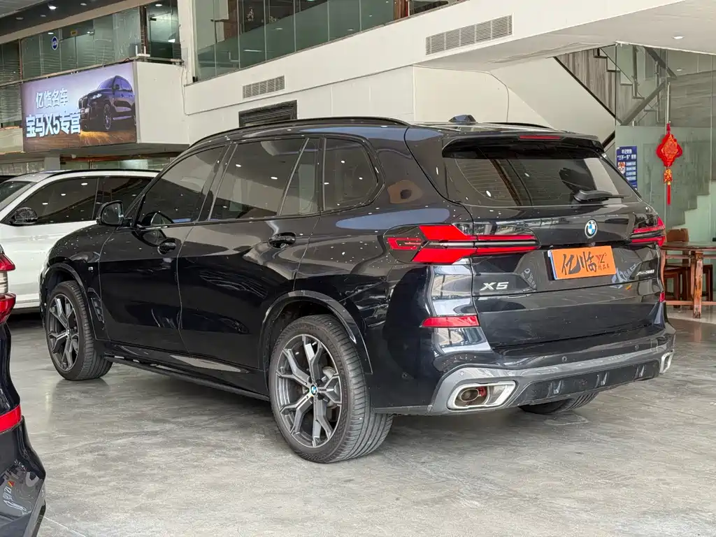 BMW X5 — миниатюра 9