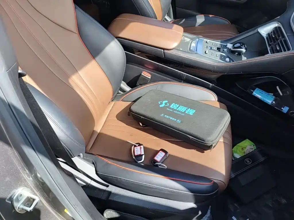 BYD PLUS — миниатюра 25