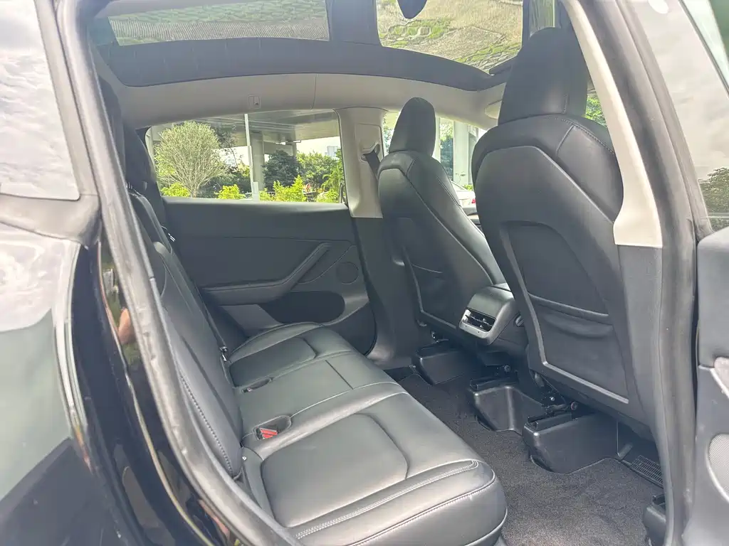 Tesla Model Y — миниатюра 10