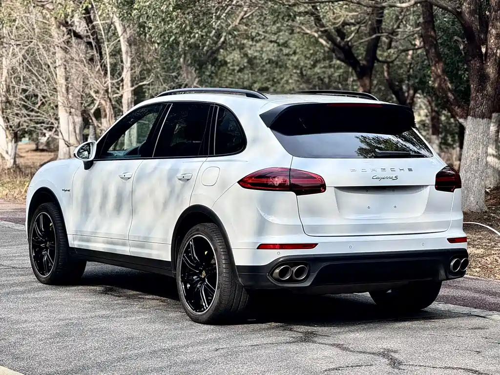 PORSCHE CAYENNE NEW ENERGY