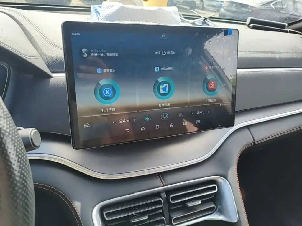 BYD PLUS — миниатюра 13