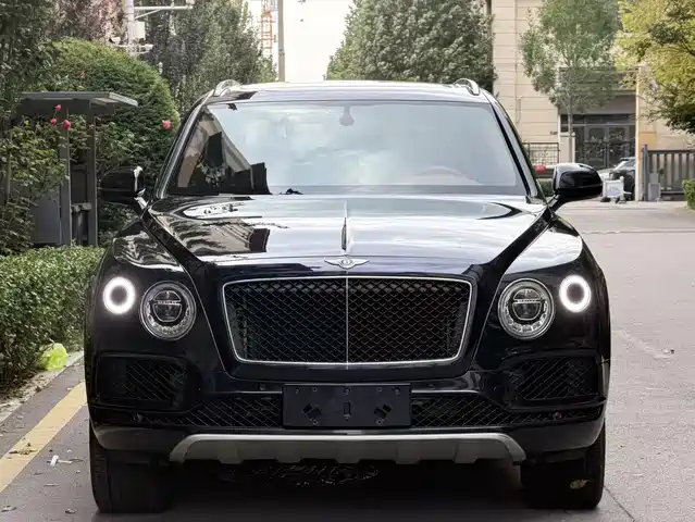 BENTLEY TIM YUE 2020