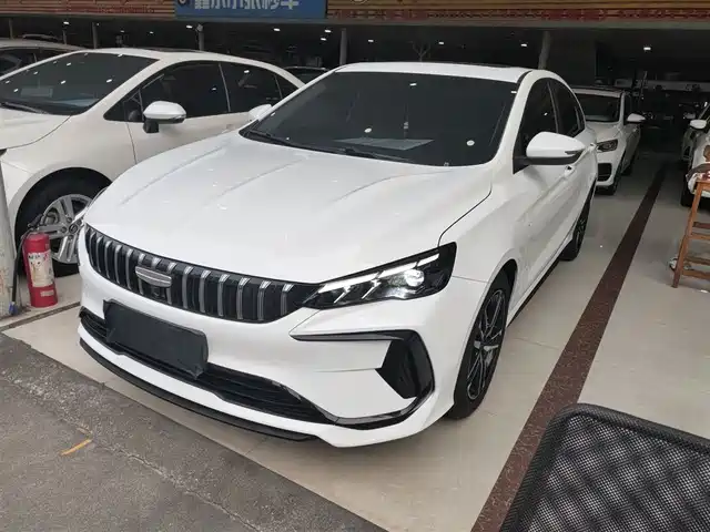 2024 Geely Binrui