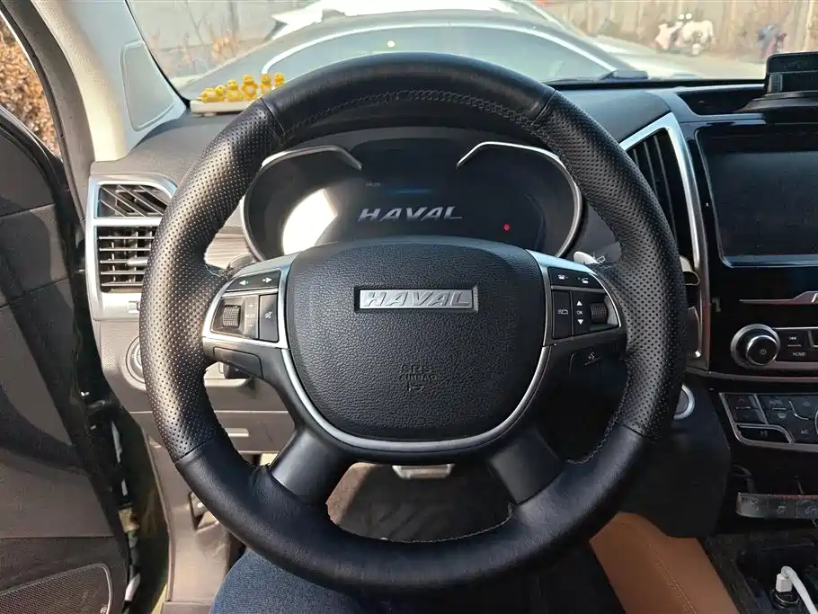 HAVAL H9