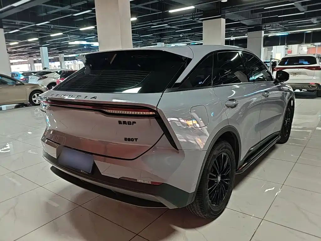 Venucia V — миниатюра 7
